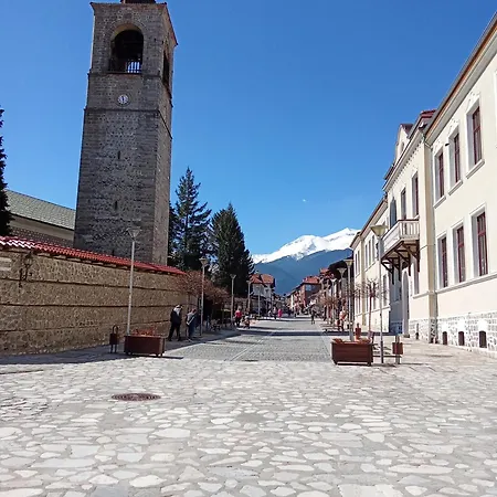 Apartment Sunny Terrace, Pirin Views, Art And Books *